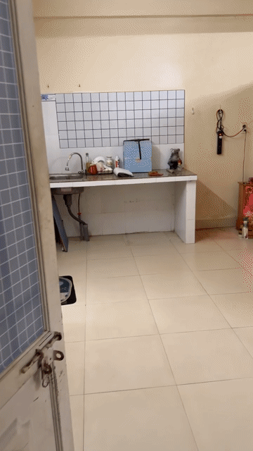 Cho thuê Phòng trọ Thành phố Buôn Ma Thuột Đắk Lắk diện tích 38 m² giá 2,5 triệu/tháng