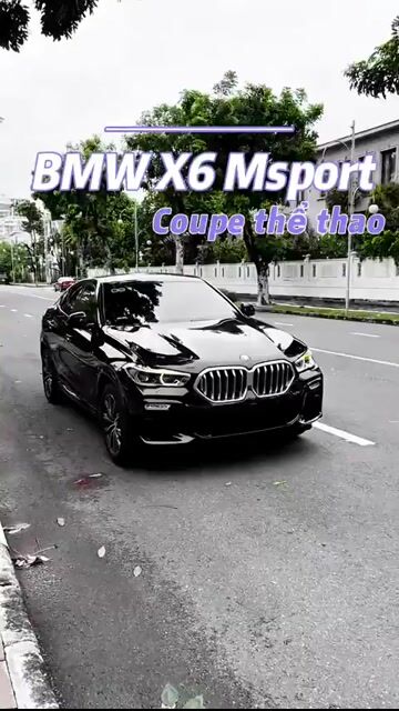 BMW X6 2020 - 54200 km. Mua bán Ô tô tại Quận 7 Tp Hồ Chí Minh được đăng bởi Trương Thiên Phú hình 1