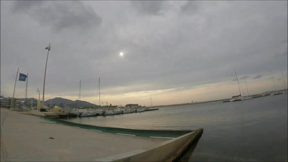 Dans la peau d'un mono