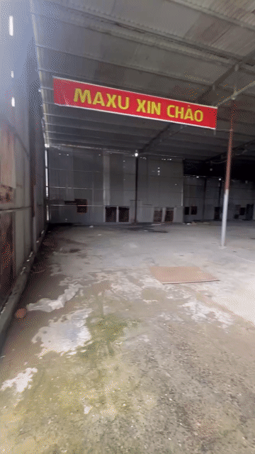 Cho thuê Văn phòng, Mặt bằng kinh doanh Quận Hải Châu Đà Nẵng diện tích 550 m² giá 27,5 triệu/tháng