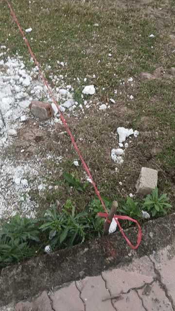 Cho thuê Đất Huyện Phù Cừ Hưng Yên diện tích 1000 m² giá 10 triệu/tháng