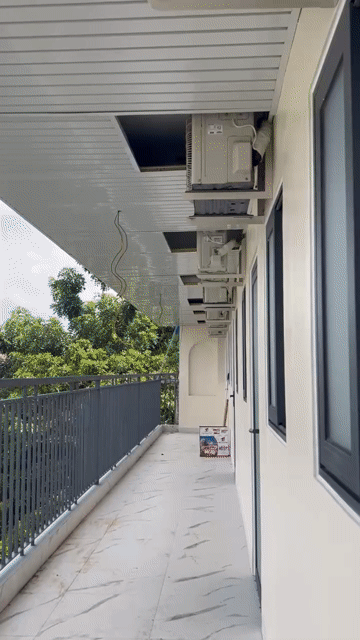 Cho thuê Phòng trọ Quận Bình Thạnh Tp Hồ Chí Minh diện tích 30 m² giá 5,4 triệu/tháng
