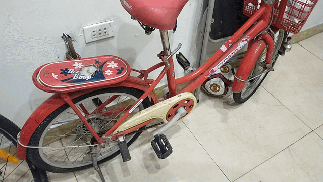 Xe đạp Nữ 20 inch Đỏ còn mới. Mua bán Xe đạp tại Quận Long Biên Hà Nội được đăng bởi Đại Võ hình 1