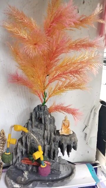 Bể cá cảnh Kính cường lực 25x25x65cm. Mua bán Phụ kiện, Thức ăn, Dịch vụ tại Quận 11 Tp Hồ Chí Minh được đăng bởi Thanh Tung Nguyen hình 1