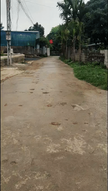 Mua bán Đất Huyện Lương Sơn Hòa Bình diện tích 245.1999 m² giá 1,8 tỷ