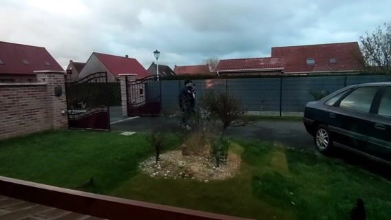 Développeur de jeux vidéos