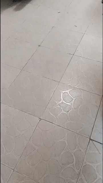 Cho thuê Nhà ở Quận 6 Tp Hồ Chí Minh diện tích 18.1499 m² giá 4,3 triệu/tháng