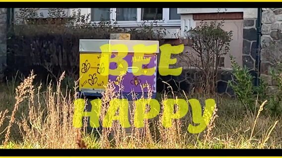 Bee Happy