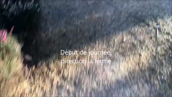 L'agriculture et ses loisirs