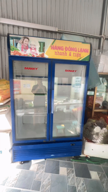 Tủ mát Sanaky VH-1209HPV 1200 lít Xanh. Mua bán Tủ lạnh tại Quận Hà Đông Hà Nội được đăng bởi Nguyễn Nghĩa hình 1