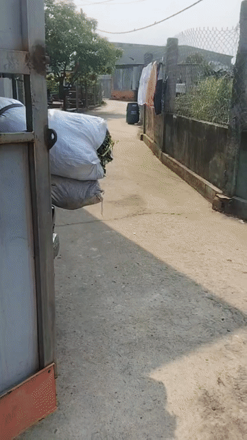 Cho thuê Nhà ở Huyện Củ Chi Tp Hồ Chí Minh diện tích 35 m² giá 3 triệu/tháng