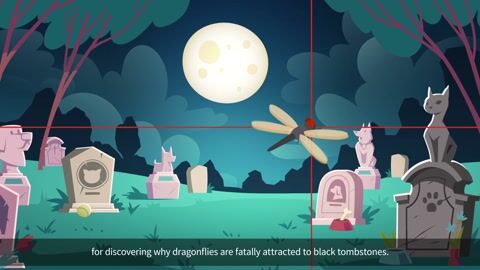 Why Dragonflies Are Fatally Attracted to Black Tombstones?