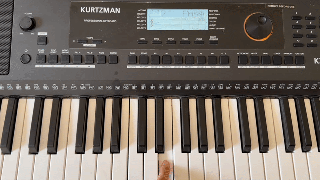 Organ Kurtzman K250. Mua bán Nhạc cụ tại Quận Ninh Kiều Cần Thơ được đăng bởi Lư Nguyễn Nhật Hân hình 1