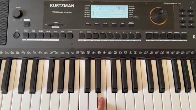 Organ Kurtzman K250. Mua bán Nhạc cụ tại Quận Ninh Kiều Cần Thơ được đăng bởi Lư Nguyễn Nhật Hân hình 1