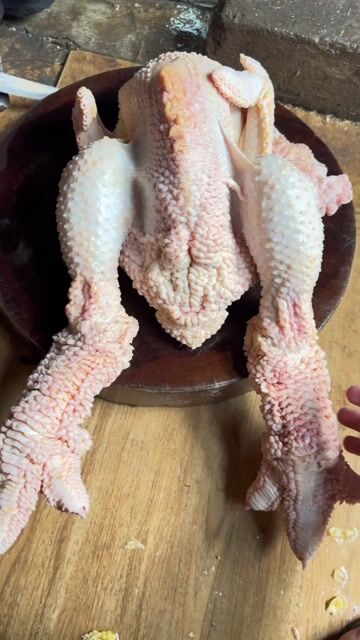 gà đông tảo thịt sạch hoặc gà sống🔥🔥🔥
