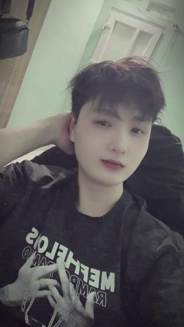 e có mèo anh muốn bán. Mua bán Mèo tại Huyện Kim Động Hưng Yên được đăng bởi Tuyet Phong hình 1