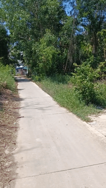Mua bán Đất Huyện An Biên Kiên Giang diện tích 1102 m² giá 1 tỷ