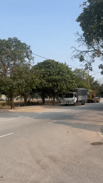 Cho thuê Đất Quận 12 Tp Hồ Chí Minh diện tích 131 m² giá 6 triệu/tháng