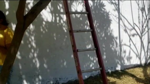 Guérir au son de la conque