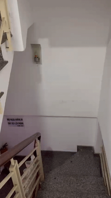 Cho thuê Phòng trọ Quận Phú Nhuận Tp Hồ Chí Minh diện tích 12 m² giá 2,9 triệu/tháng