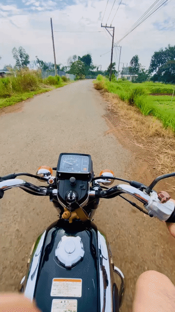 Honda CD 125T màu Đen. Mua bán Xe máy tại Huyện Thống Nhất Đồng Nai được đăng bởi Thong Phan Van hình 1