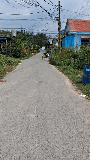 Mua bán Đất Huyện Củ Chi Tp Hồ Chí Minh diện tích 80 m² giá 2,2 tỷ