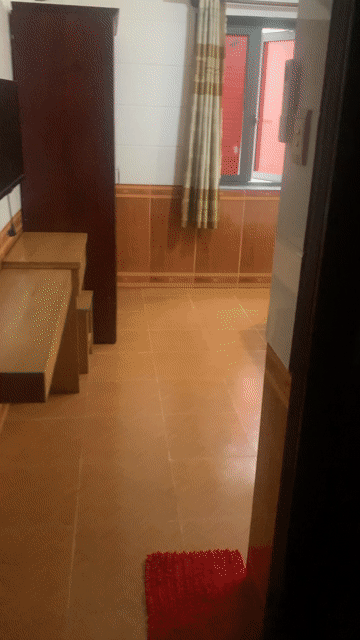 Cho thuê Căn hộ Chung cư Quận Tân Phú Tp Hồ Chí Minh diện tích 40 m² giá 2,9 triệu/tháng