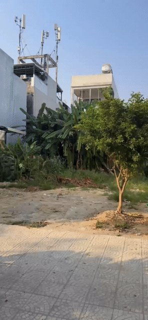 Cho thuê Đất KĐT Hòa Xuân mở rộng Quận Cẩm Lệ Đà Nẵng diện tích 225 m² giá 17 triệu/tháng