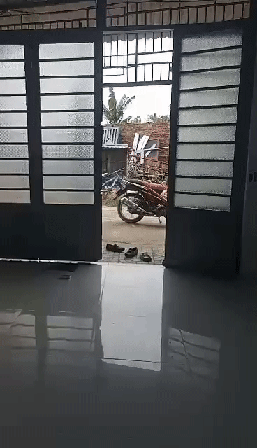 Cho thuê Nhà ở Huyện Bình Chánh Tp Hồ Chí Minh diện tích 32 m² giá 2,5 triệu/tháng