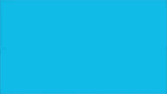 Alaska chez le vétérinaire