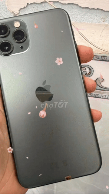 Apple iPhone 11 64GB Xám. Mua bán Điện thoại tại Thành phố Huế Thừa Thiên Huế được đăng bởi T PLUS MOBILE MUA BÁN ĐIỆN THOẠI hình 1
