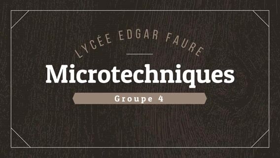 Arrêtons les préjugées sur la microtechnique.