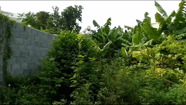 Cho thuê Đất Thành phố Biên Hòa Đồng Nai diện tích 300 m² giá 1,5 triệu/tháng