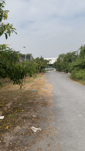Mua bán Đất Huyện Bến Lức Long An diện tích 96 m² giá 2,19 tỷ