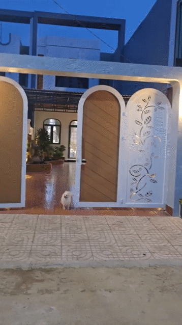 Mua bán Nhà ở Huyện Cần Đước Long An diện tích 300 m² giá 4,3 tỷ