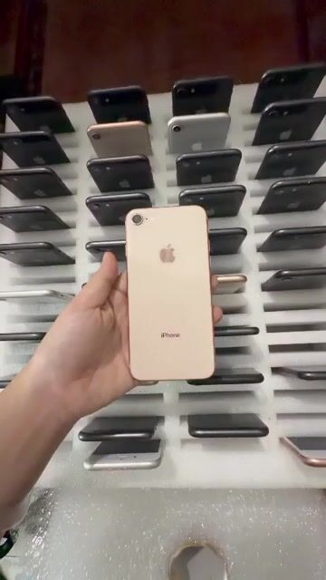 Apple iPhone 8 64GB Vàng hồng Đã dùng. Mua bán Điện thoại tại Huyện Tam Nông Đồng Tháp được đăng bởi Thanh Hồng hình 1