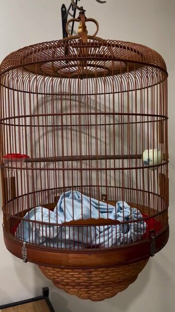 Lồng chim tre 50 Nâu. Mua bán Phụ kiện, Thức ăn, Dịch vụ tại Quận Hà Đông Hà Nội được đăng bởi Hoang Long hình 1
