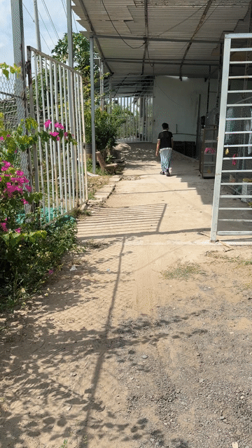 Mua bán Nhà ở Thành phố Vĩnh Long Vĩnh Long diện tích 1000 m² giá 1,5 tỷ
