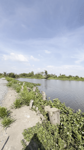 Mua bán Đất Huyện Tân Trụ Long An diện tích 500 m² giá 500 triệu