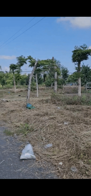 Mua bán Đất Huyện Cần Giuộc Long An diện tích 200 m² giá 6,2 tỷ