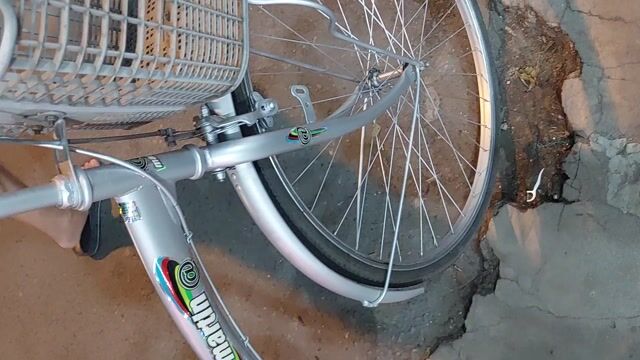 Xe đạp Martin Kim loại Bạc. Mua bán Xe đạp tại Thành phố Thủ Đức Tp Hồ Chí Minh được đăng bởi Phạm hải Nam hình 1