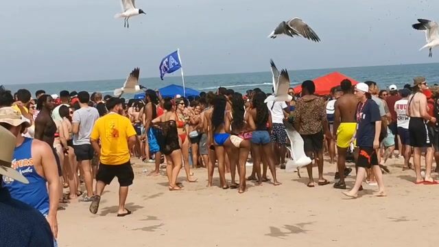 Beach party scenes, normal bikinis