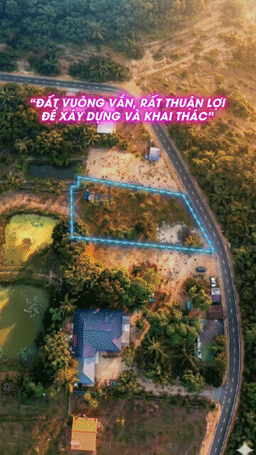 Mua bán Đất Huyện Xuyên Mộc Bà Rịa - Vũng Tàu diện tích 985.2999 m² giá 12 tỷ