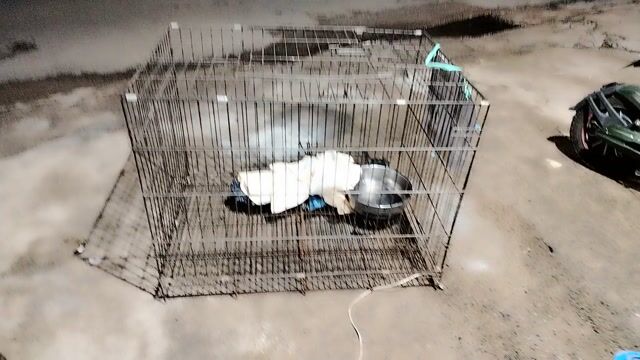Lồng chó kim loại 90x70x60 cm. Mua bán Phụ kiện, Thức ăn, Dịch vụ tại Thành phố Biên Hòa Đồng Nai được đăng bởi Hoài Em hình 1