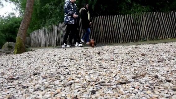 A la découverte des pierres précieuses