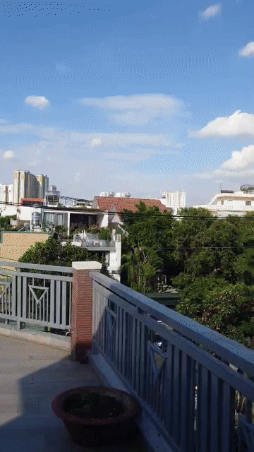 Cho thuê Phòng trọ Thành phố Thủ Đức Tp Hồ Chí Minh diện tích 15 m² giá 3,8 triệu/tháng