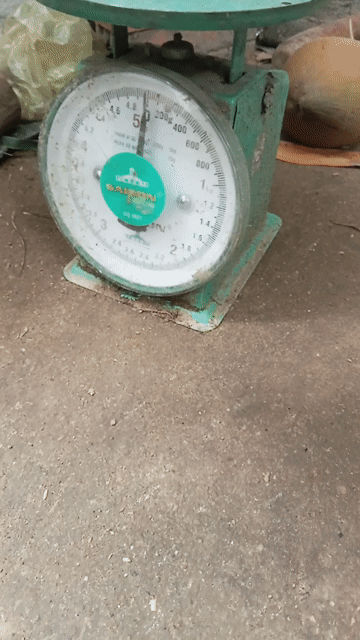 xám cứu . Mua bán Gà tại Huyện Mỏ Cày Bắc Bến Tre được đăng bởi Thanh hung hình 1