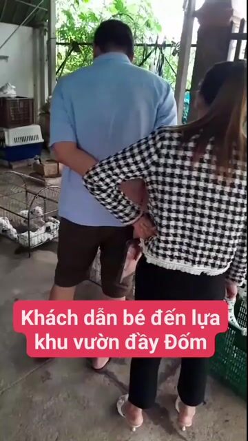 Khu vườn đầy chó đốm khách dẫn bé đến chọn