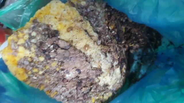 Sáp ong 2.5kg vị ngọt. Mua bán Đồ ăn, thực phẩm và các loại khác tại Quận Hoàng Mai Hà Nội được đăng bởi Vũ Hoàng hình 1