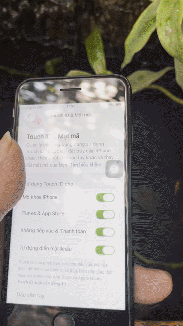 iPhone SE 2020 256gb, máy sạch, full zin, full CN. Mua bán Điện thoại tại Thành phố Thủ Đức Tp Hồ Chí Minh được đăng bởi Nguyen Vu Phi Hai  hình 1